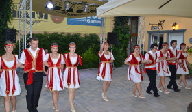 FESTIVALUL CULTURAL DE LA DUMBRĂVENI