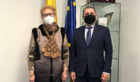 Դեսպան Մինասյանը հանդիպել է Ռումինիայի մարդու իրավունքների պաշտպան Ռենատե Վեբերին